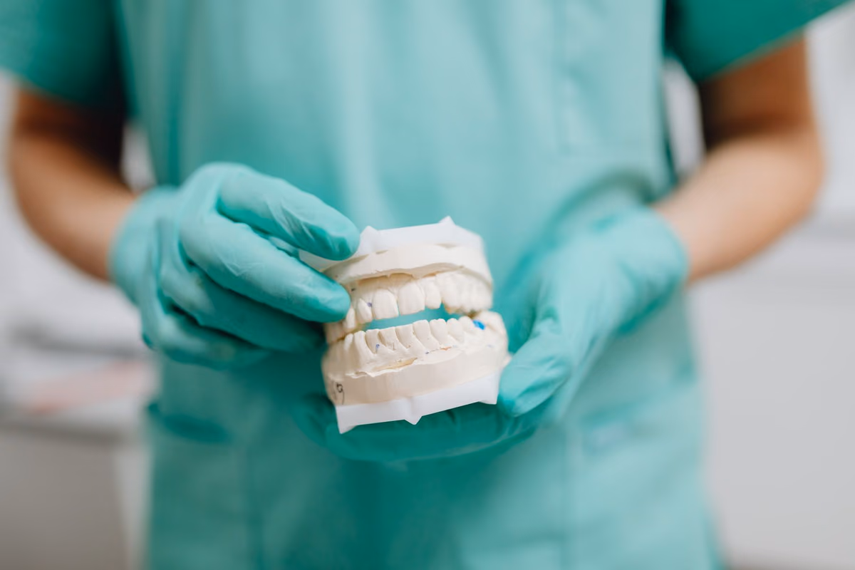 A dental professional holding upper and lower study casts, used to plan dentures and implant-supported alternatives to full-arch treatment.